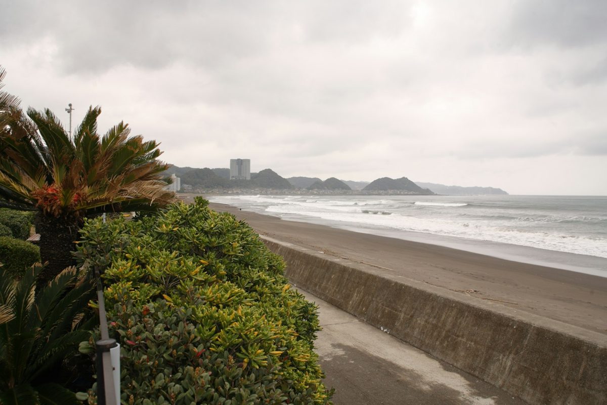 伊良湖の波チェック|遊歩道から海岸線を見渡す