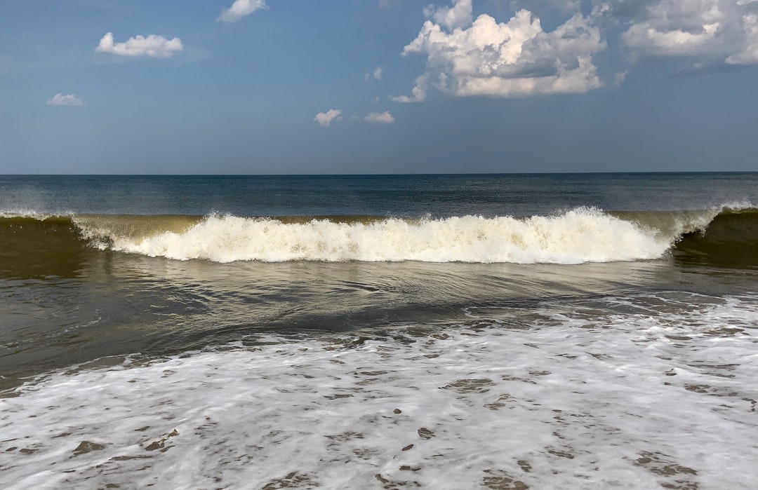 クラゲに刺されたときの応急処置は海水で洗う