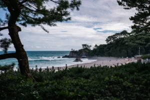 南国のヤシ並木が続く宮崎の海岸線とサーフポイント