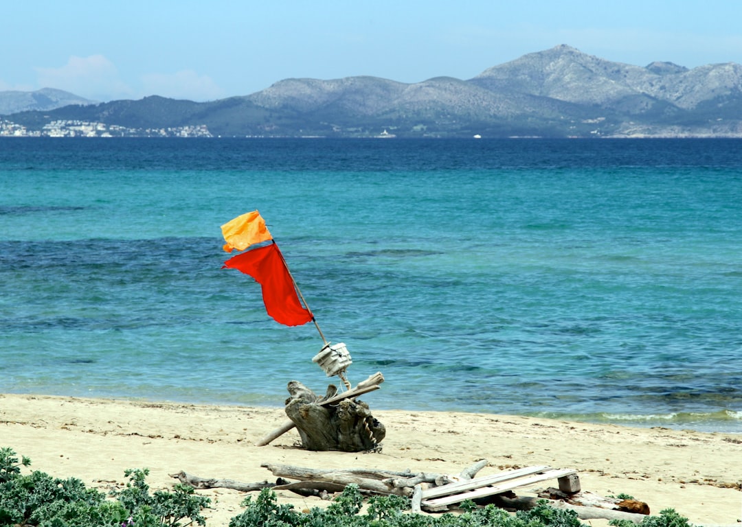砂浜の旗のなびき方で風向きを確認するイメージ