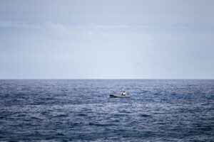 沖に流されたサーファーが板の上でパドリングする様子