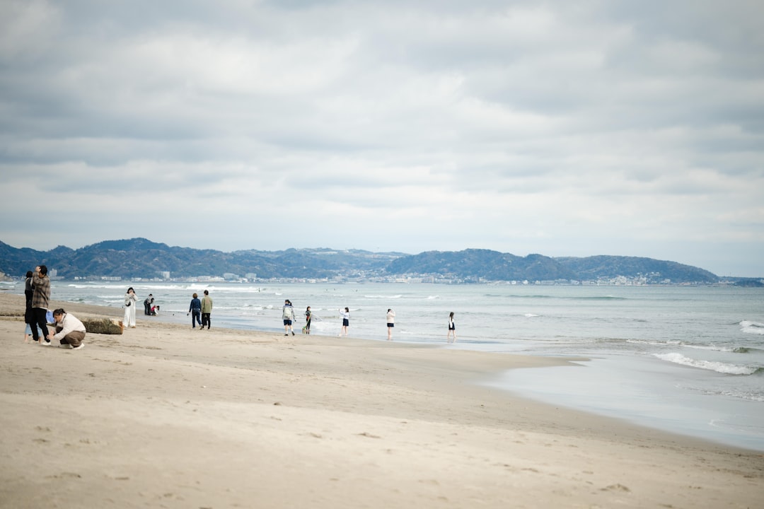 海水浴客とサーファーが混在する夏の海