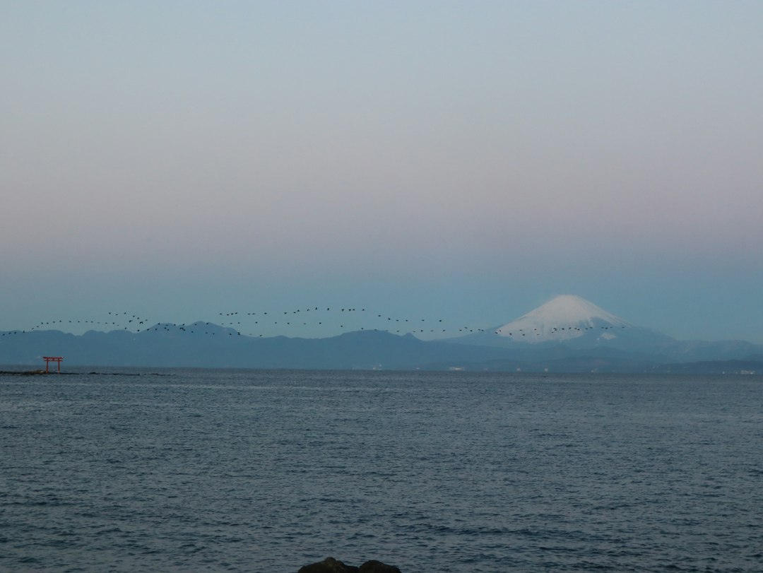 冬型が緩んだ朝の相模湾と富士山