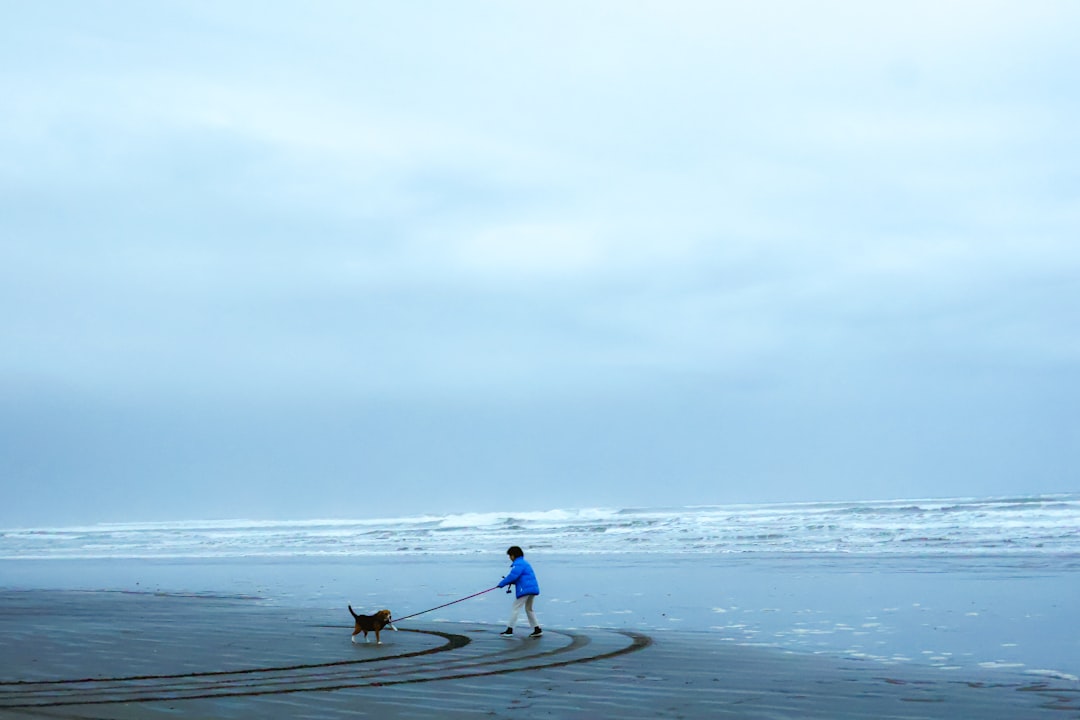 海に浮かぶサーフボードとリーシュ